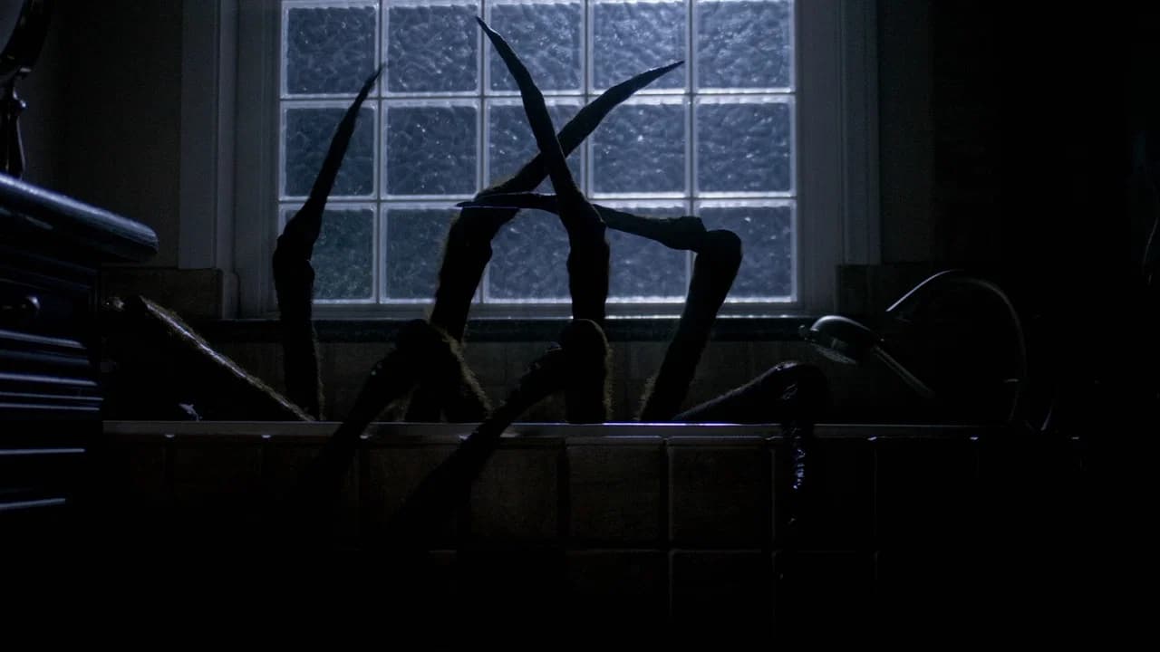 Night Spider
