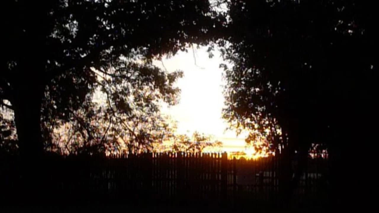 Garden Sanctuary