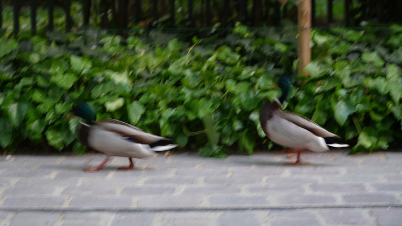 Une balade au square des batignoles