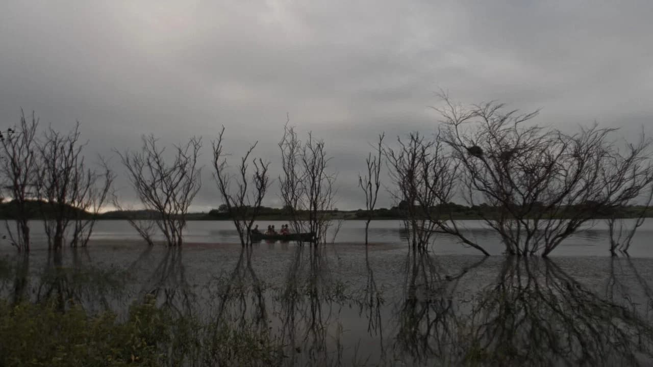 Banho de Choque