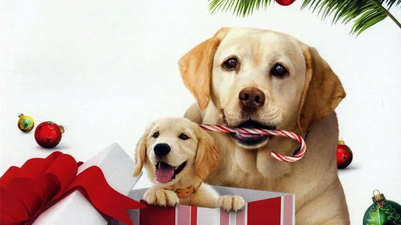 The Dog Who Saved the Holidays