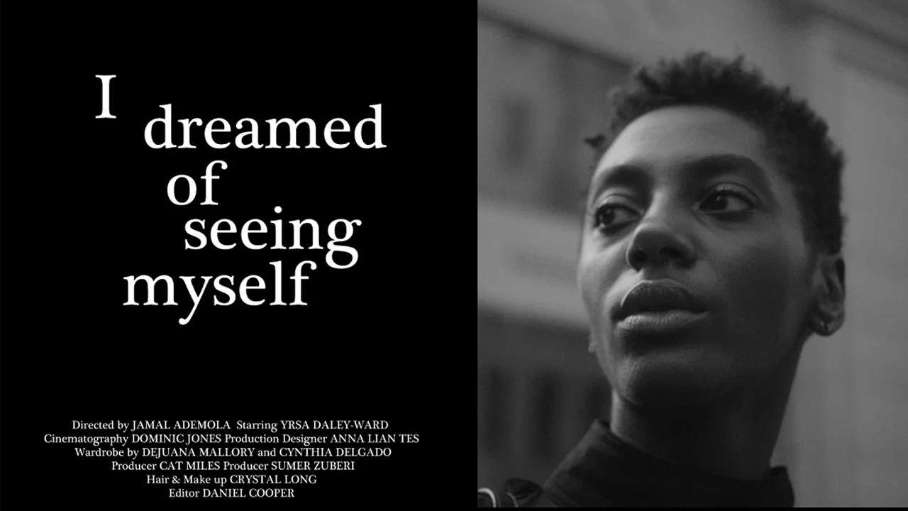 I Dreamed of Seeing Myself