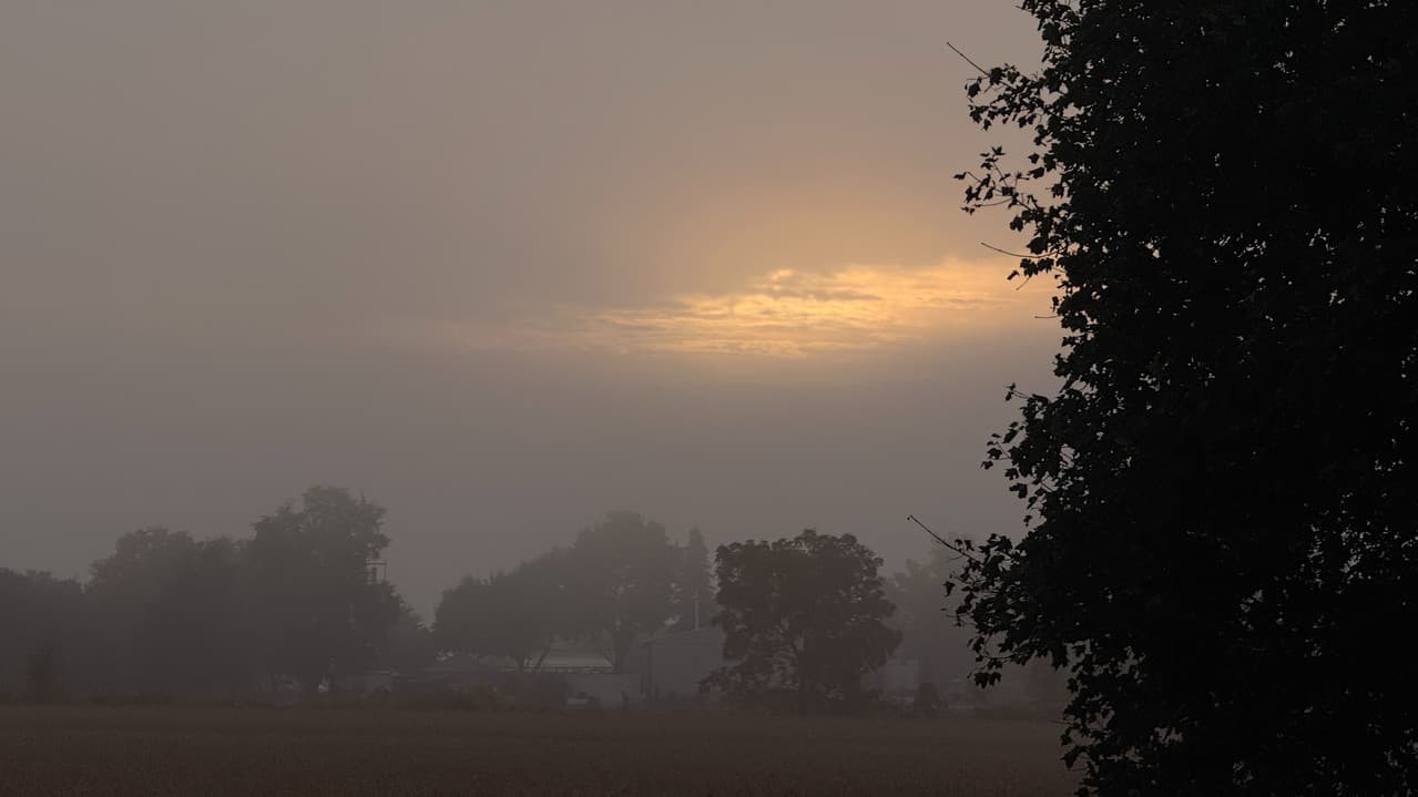 The Fog