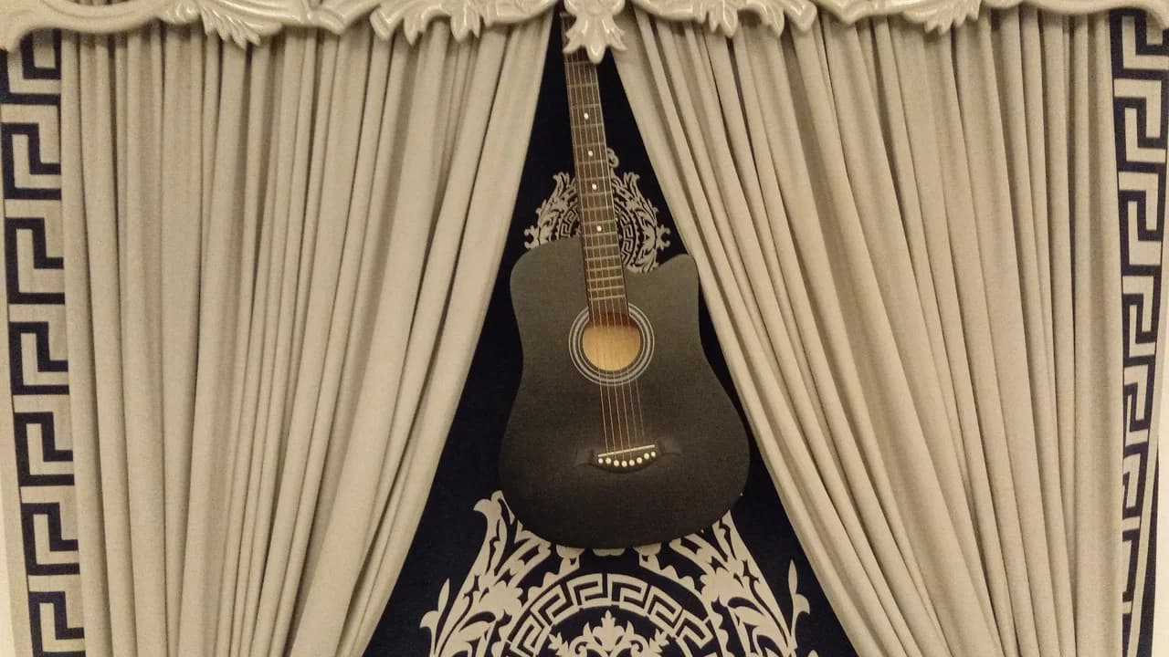 The Guitar Man