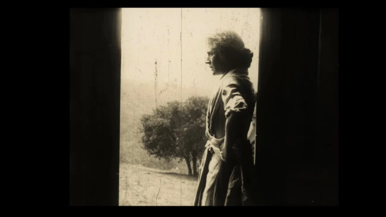 The Thief's Wife