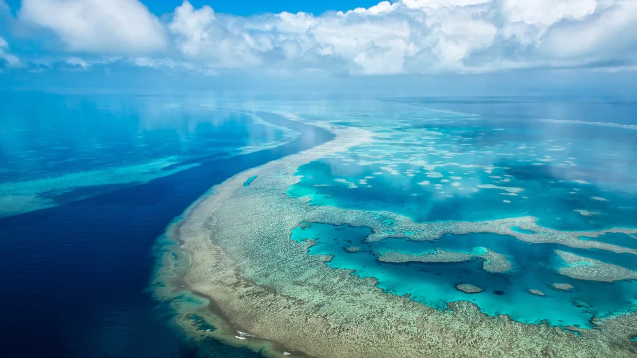 Great Barrier Reef 4K