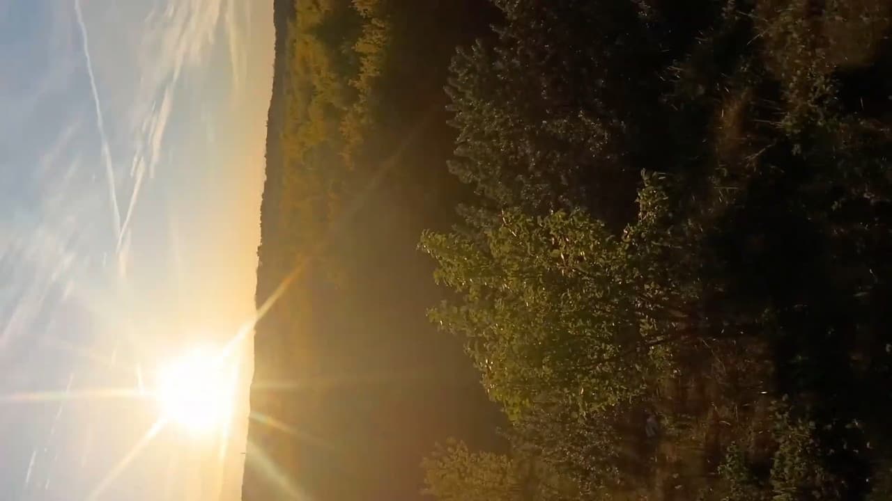 A Walk
