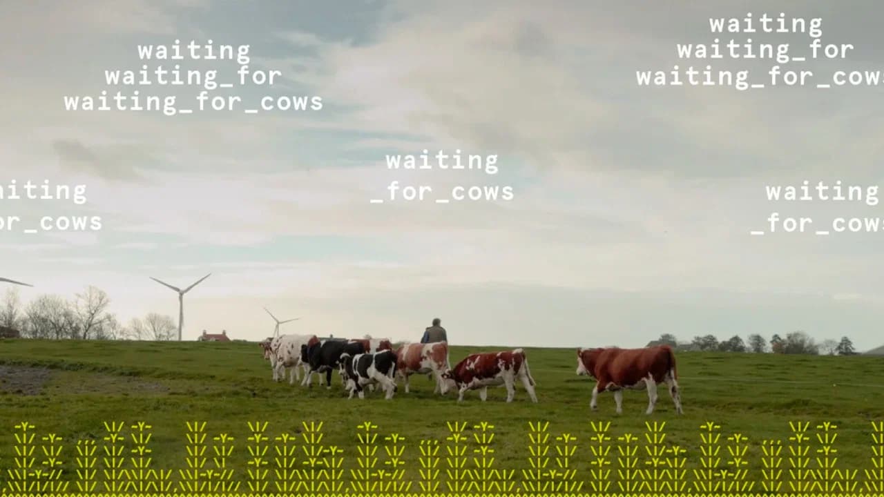 waiting_for_cows