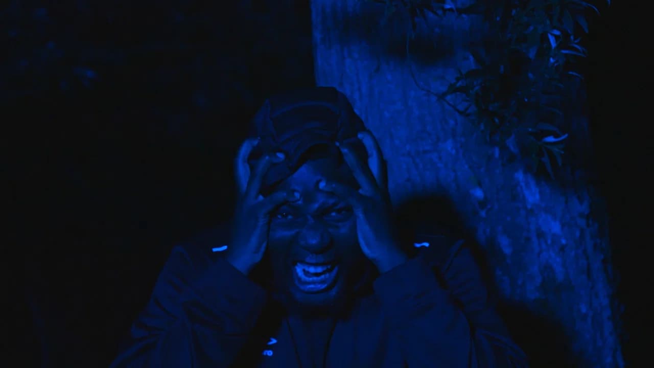The Prisoner
