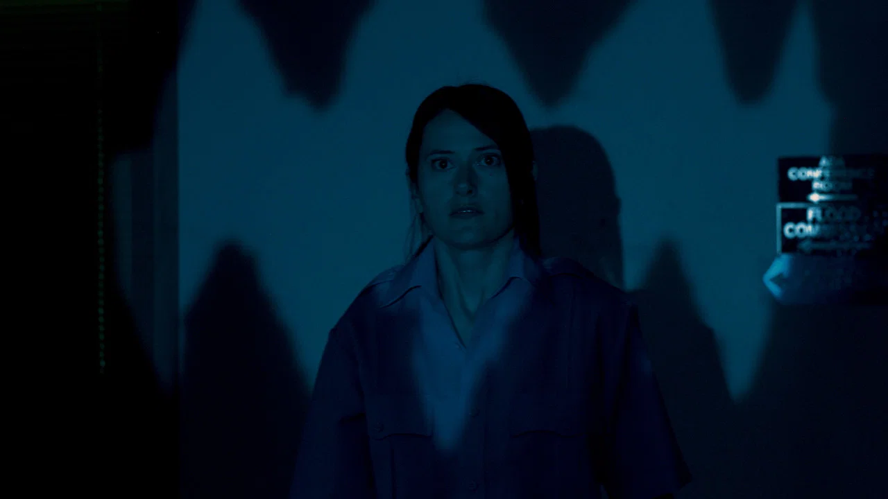 The Shadow