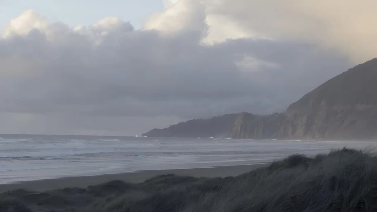 This Light Rains