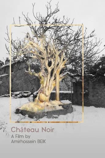 Château Noir