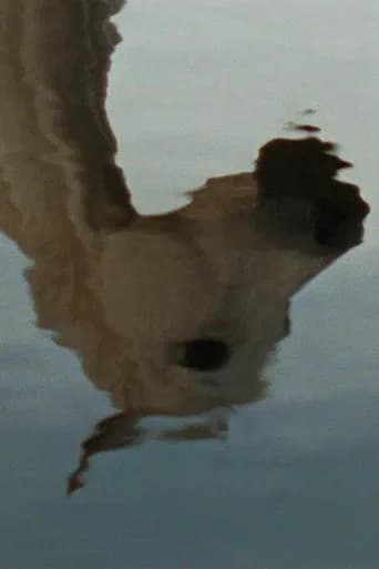 Farewell, Rivers