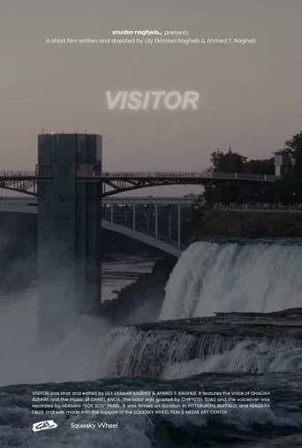 Visitor