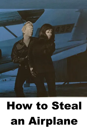 How to Steal an Airplane