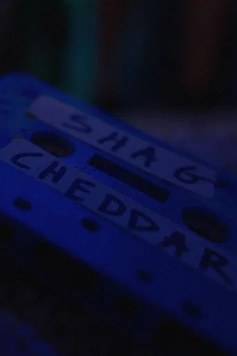 Shag Cheddar