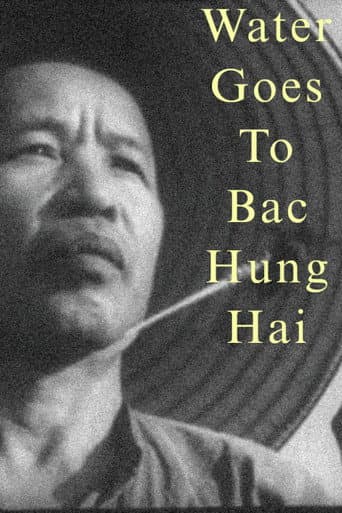 Water Goes to Bac Hung Hai