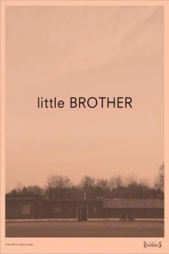 Little Brother