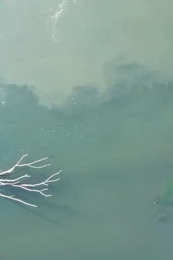 The Stream XV