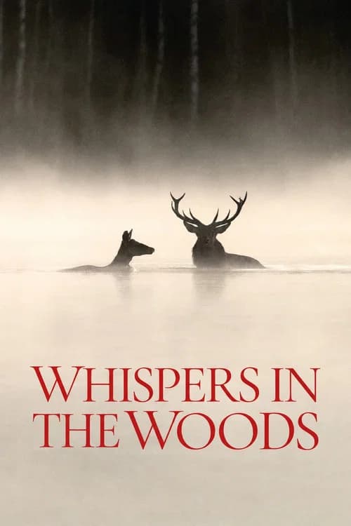 Whispers in the Woods