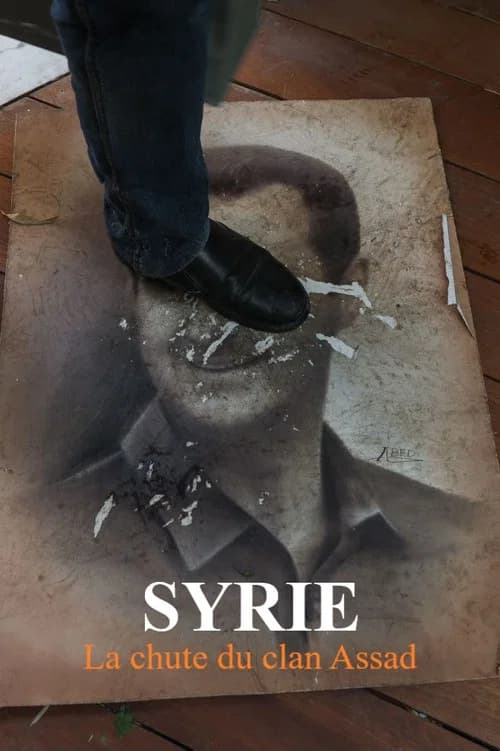 Syrie : la chute du clan Assad