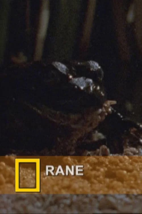 Fearsome Frogs