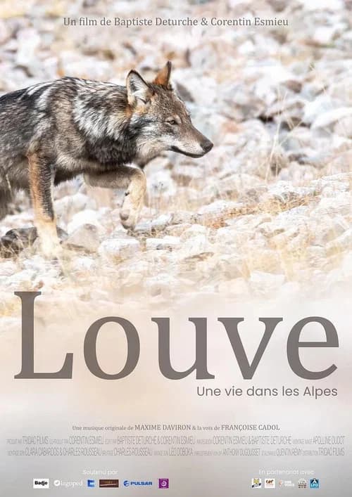 Louve, une vie dans les Alpes