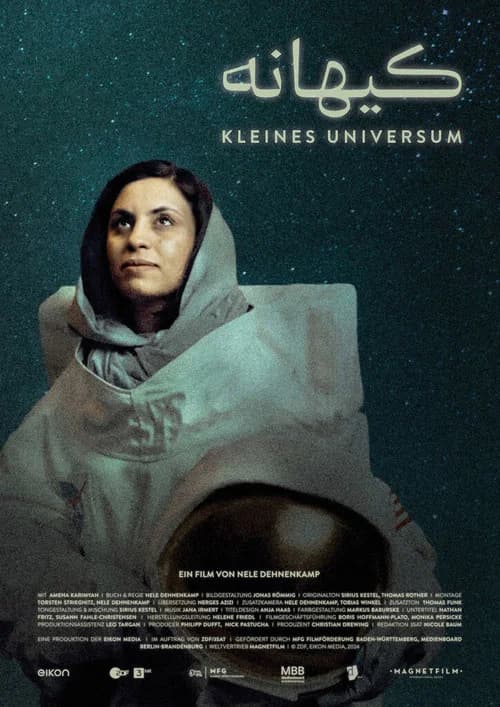 Little Universe