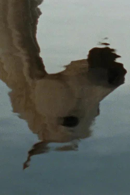Farewell, Rivers