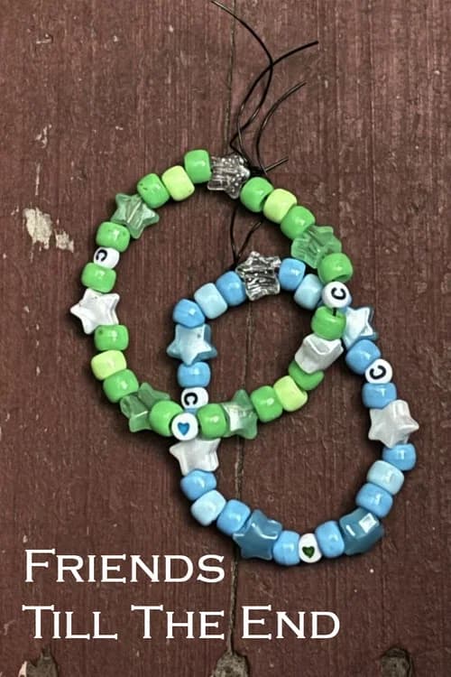 Friends Till The End