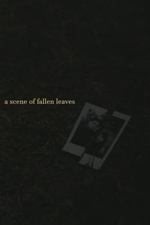 a scene of fallen leaves