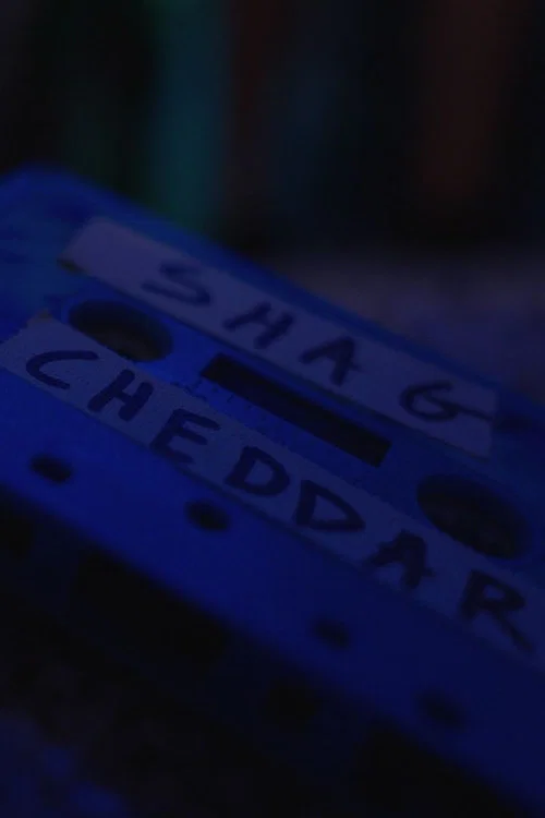 Shag Cheddar