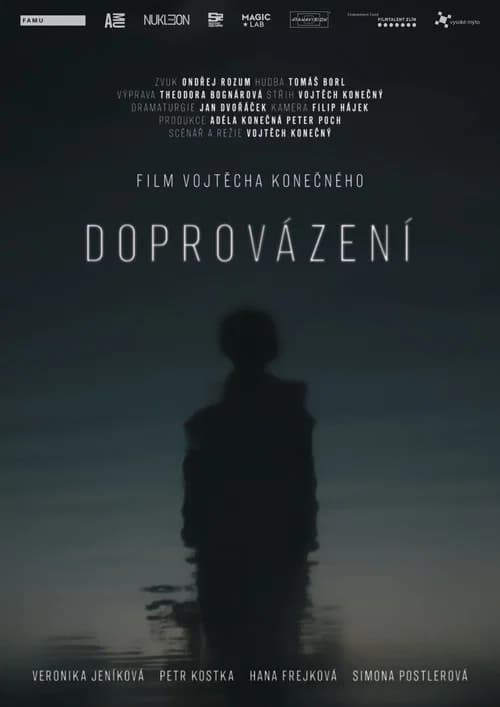 Doprovázení