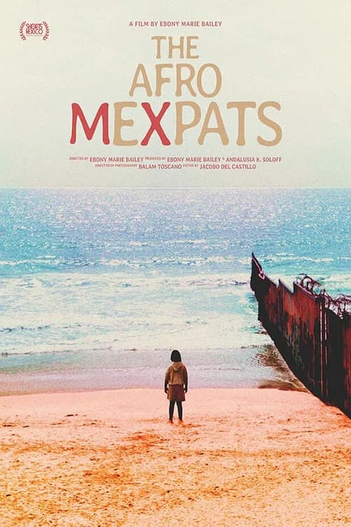 The Afro Mexpats
