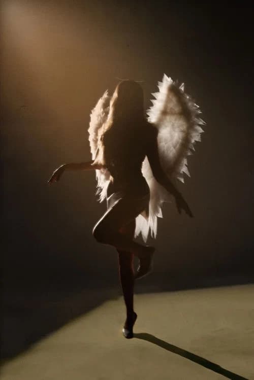 Victoria Secret Fashion Show 2026