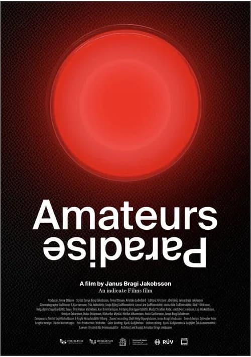 Amateurs Paradise