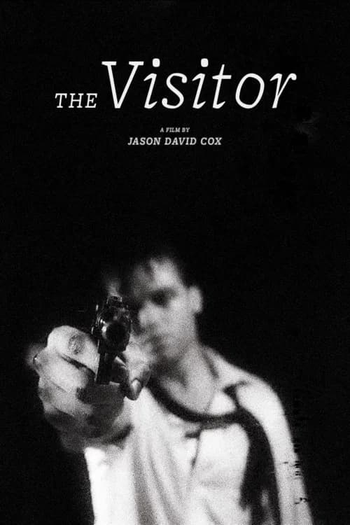 The Visitor