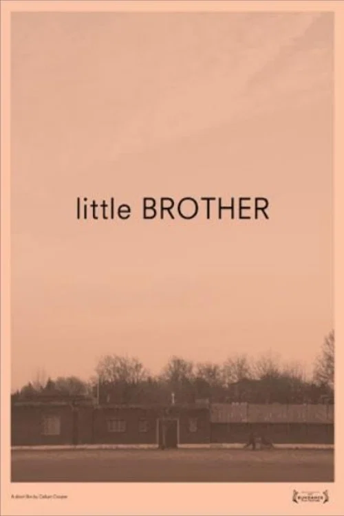 Little Brother