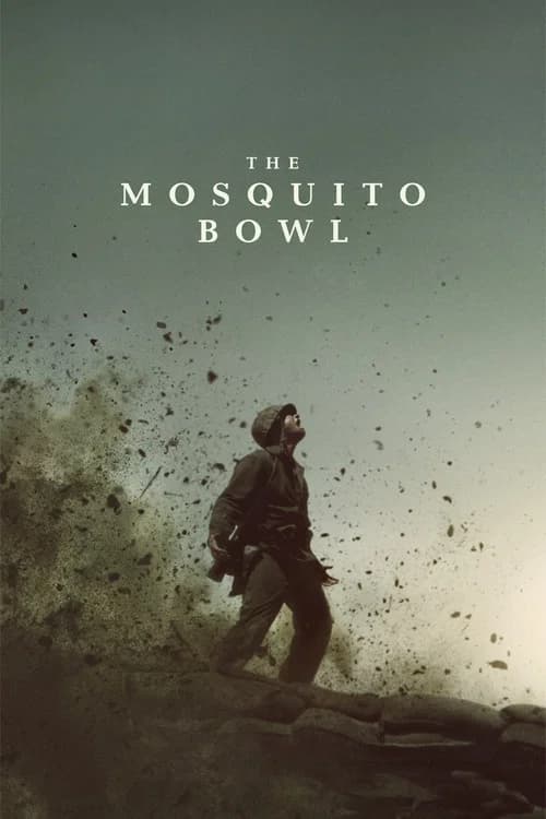 The Mosquito Bowl
