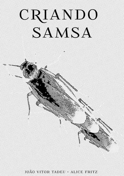 Making Samsa