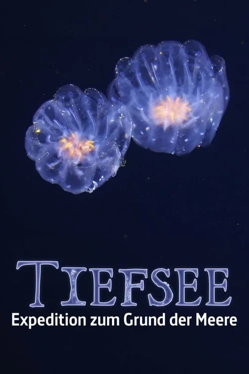 Fascination of the Deep Sea