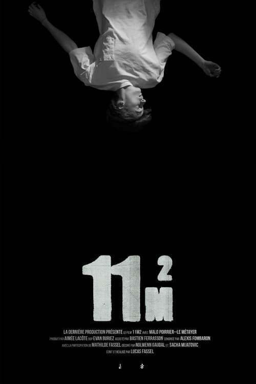 11m2