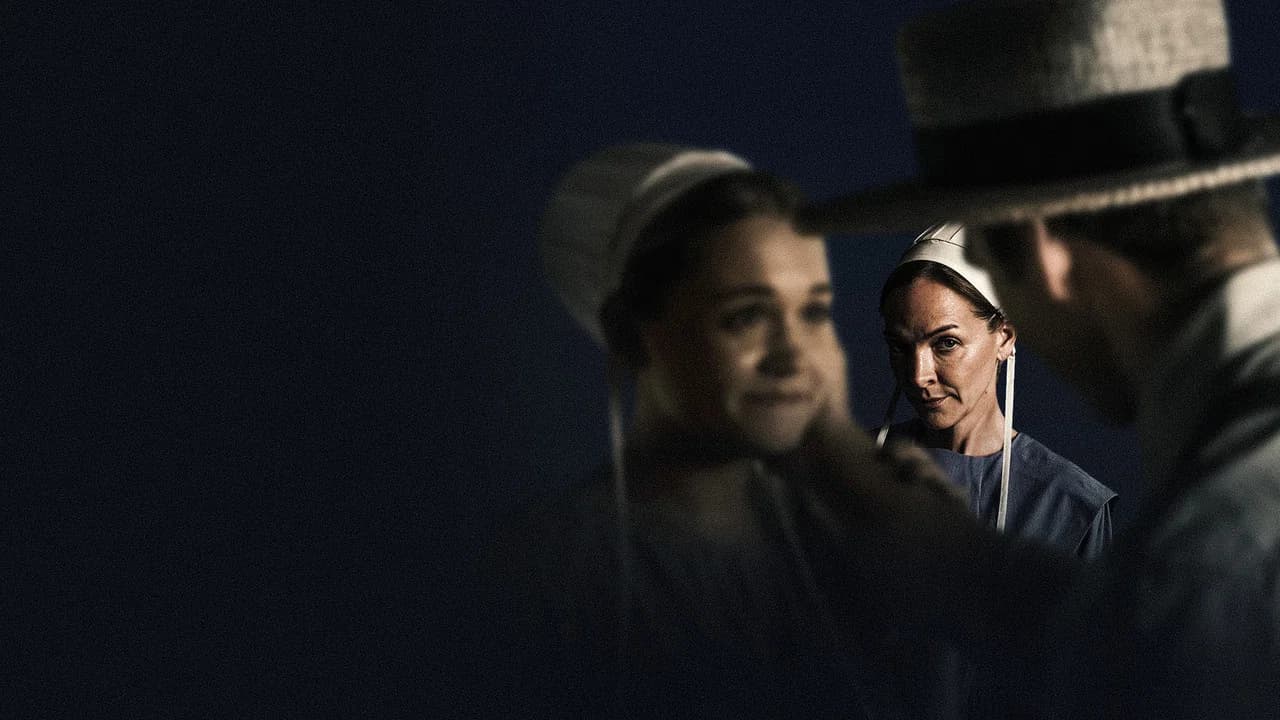 Seduced by an Amish Stranger