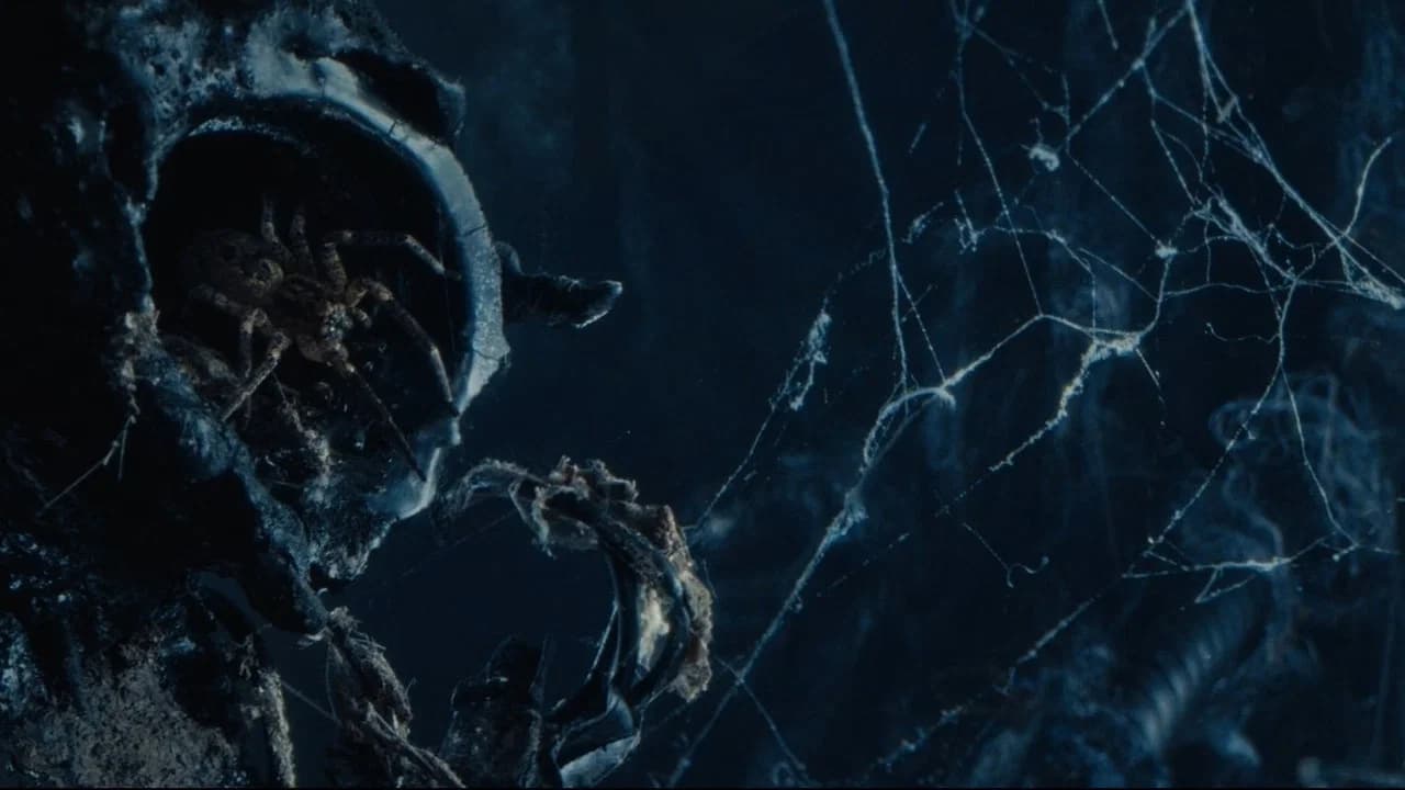 Atom & Void
