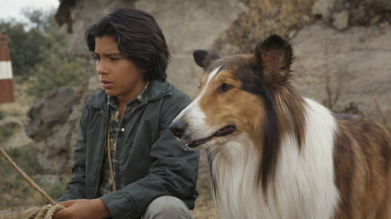 Lassie: The Adventures of Neeka
