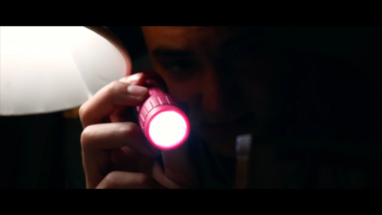 A Light In The Attic