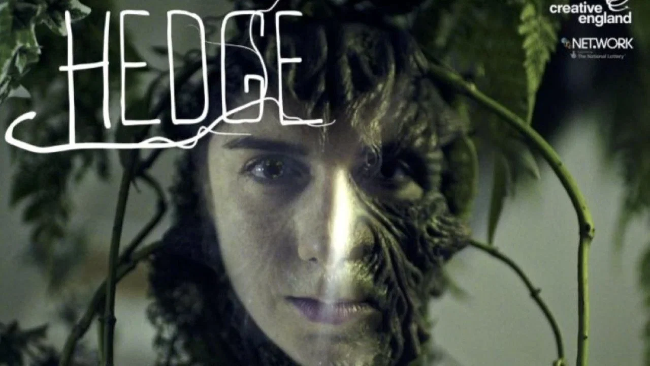 Hedge