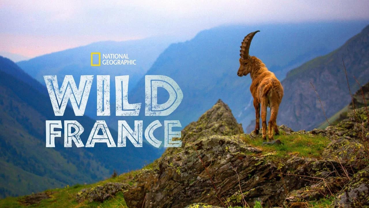 Wild France