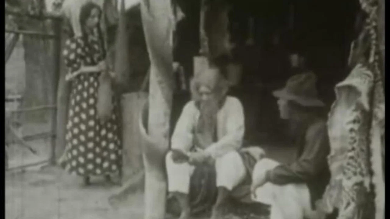 The Last Indian Attack