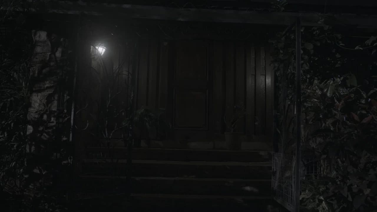 The Shadow